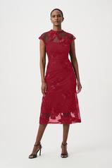 Image of 264143-Colors