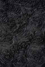 Image of 264179