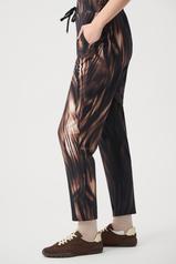 Image of 264623-Pant