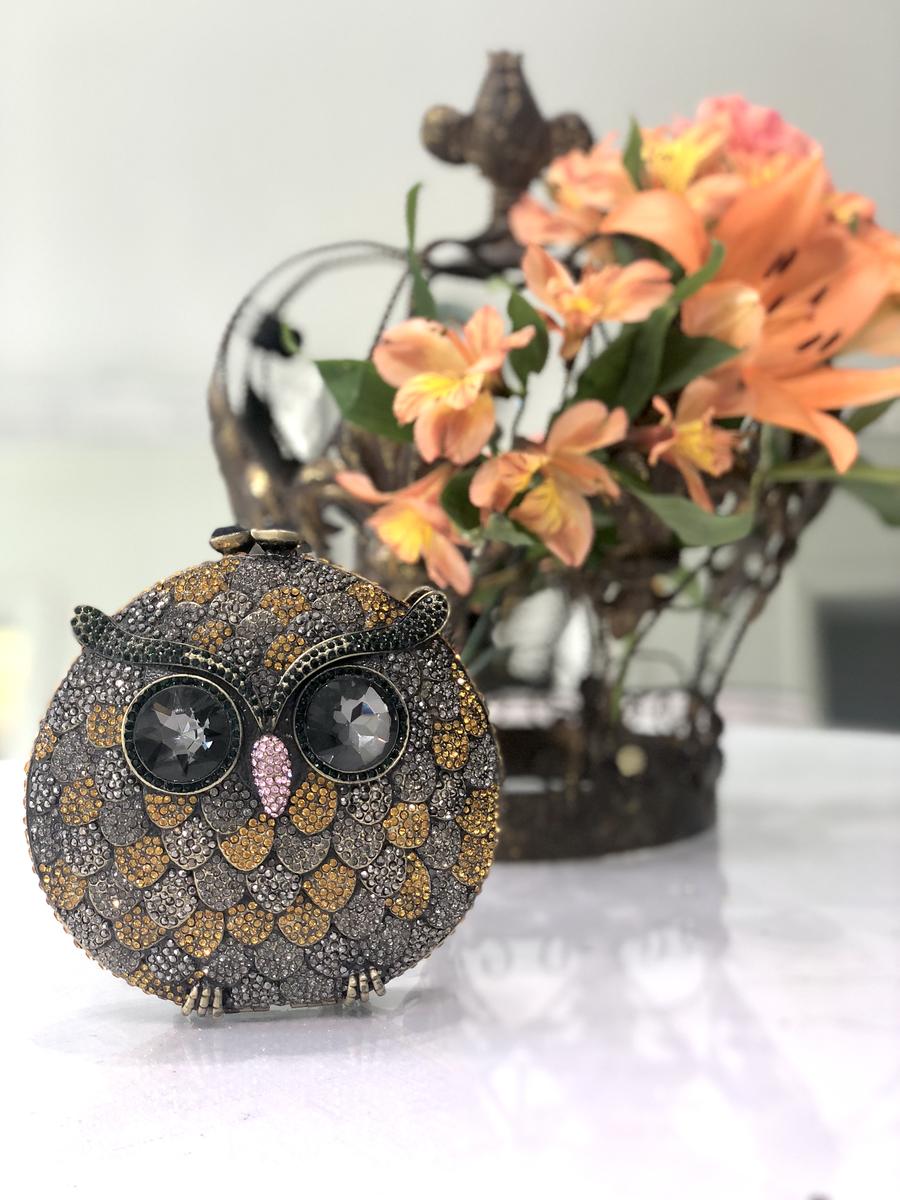  Rhinestone Owl Clutch 
