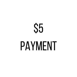 $5 Payment