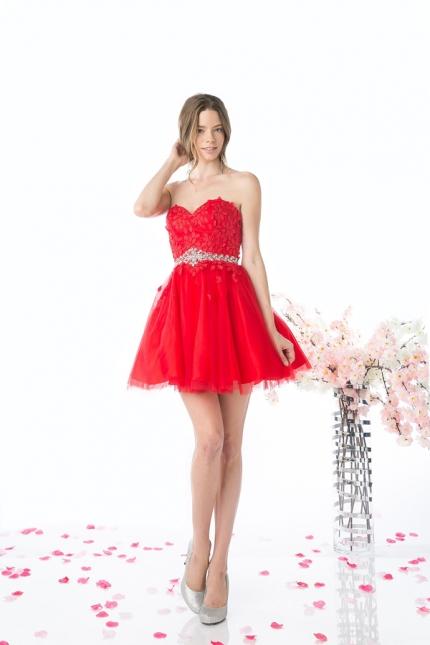 CD Strapless Sweetheart Short Prom Dress