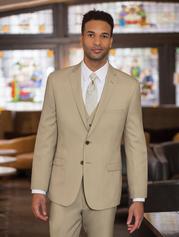 Image of Tan Slim Suit