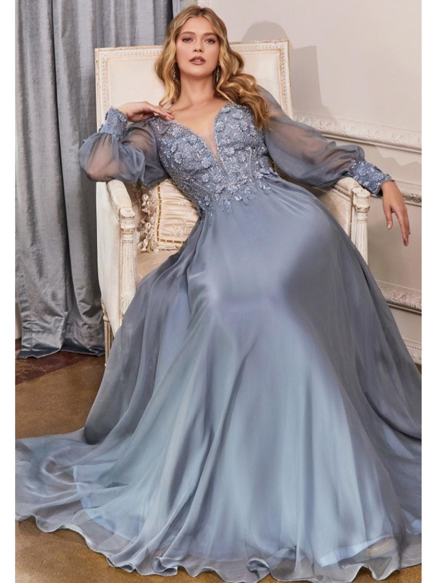 Cinderella Devine - Chiffon Long SleeveEmbroidered Bodice Chiffon Gown CD0183