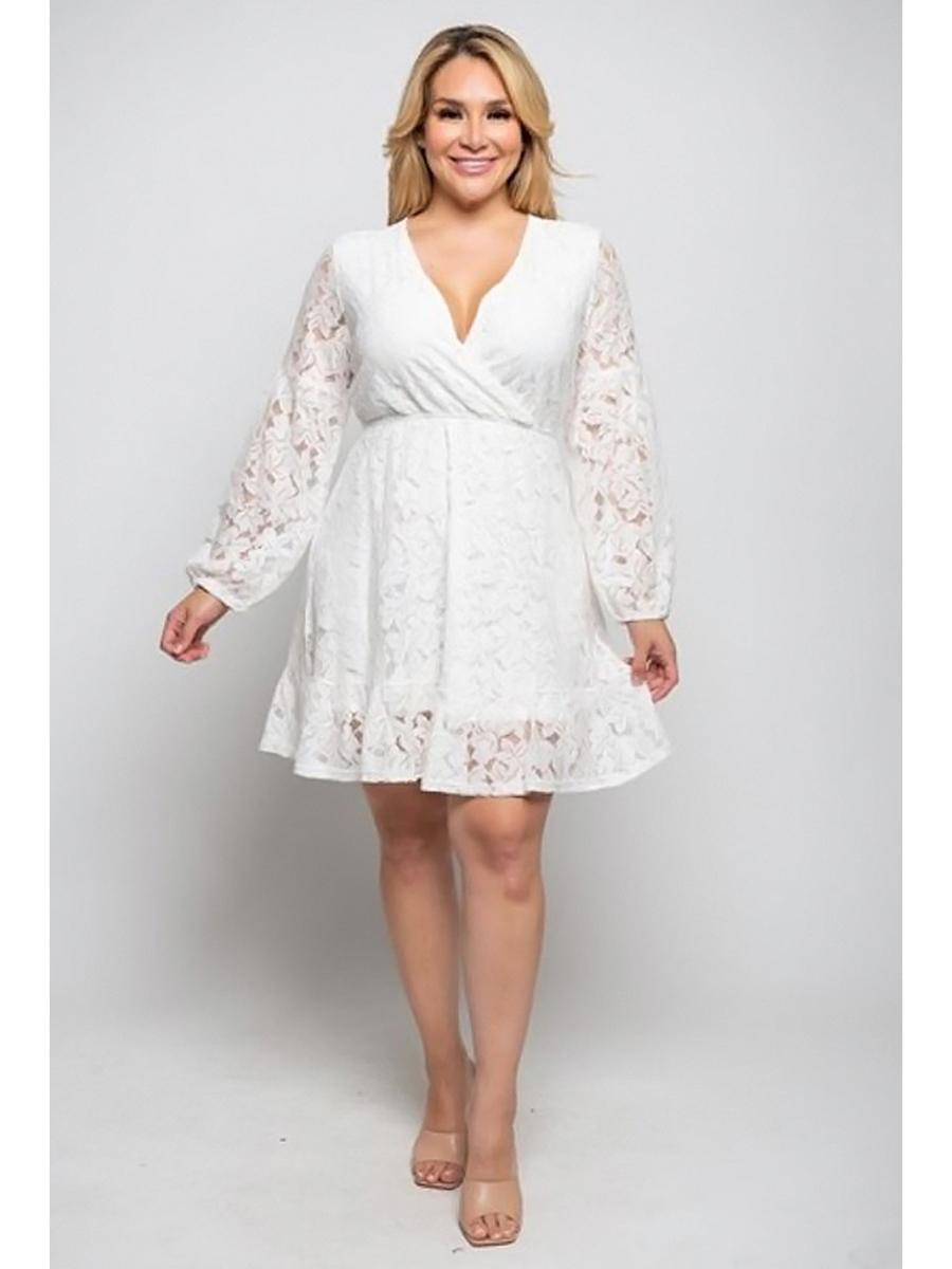 Curve Market - Long Sleeve Lace Fit and Flare Dress 50D060810021
