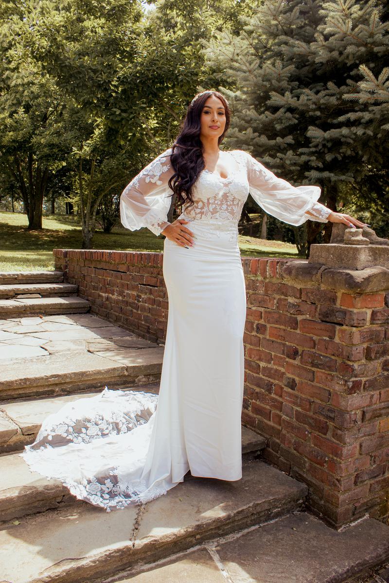 Cinderella Devine - Long sleeve,sheer boodice, fitted gown
