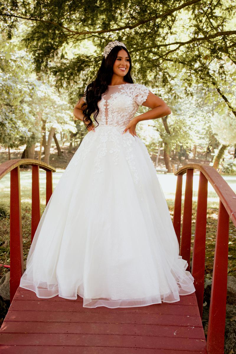 Cinderella Devine - Short Sleeve Embroidered Ball gown A1082W