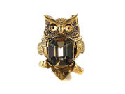 Image of Owl necklace  R112
