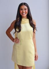 Image of Andie Anderson Dress