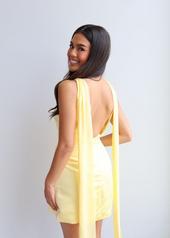 Image of Andie Anderson Dress