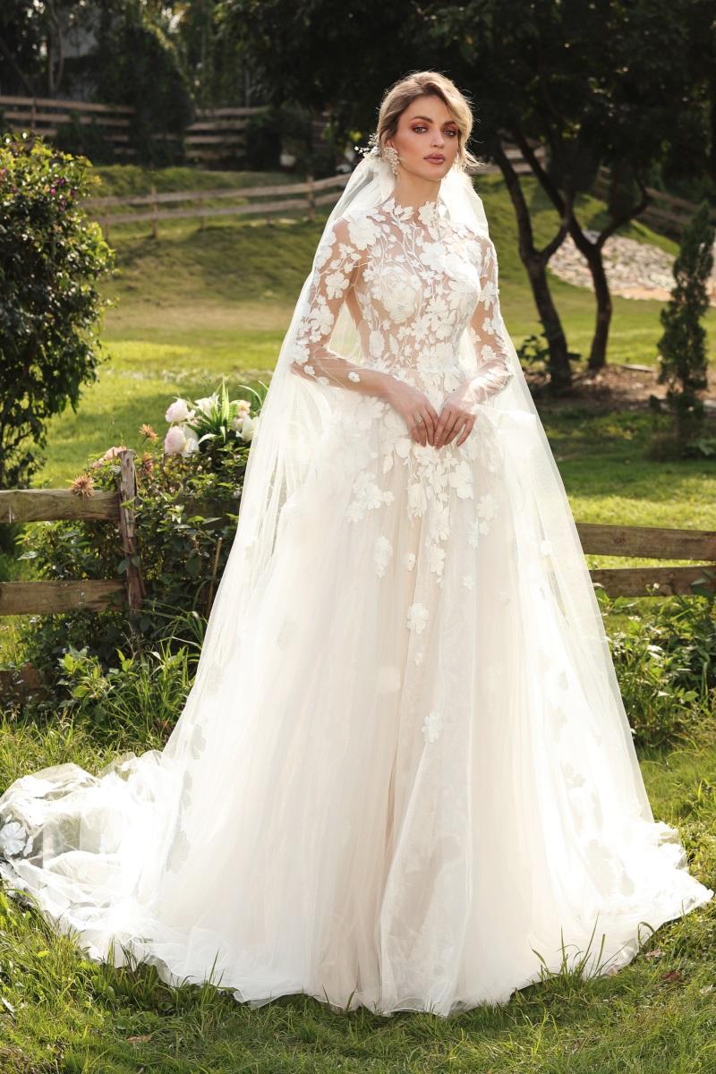 Lace collar, sheer bodice and long sleeves